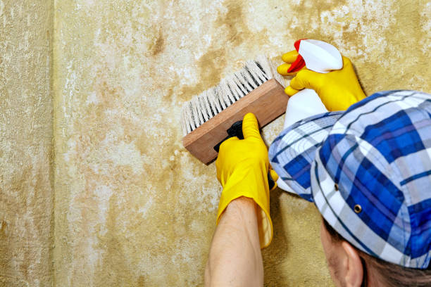 Best Biohazard Mold Removal  in Abbotsford, WI